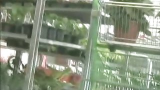 garden centre voyeur upskirt vagina in its full glory on view