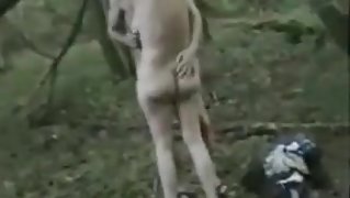 Alot of Wood in the Woods #18