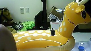 lion mates with deer