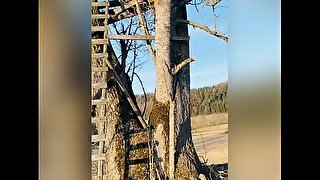 Outdoor Fuck Squirt blowjob and creampie