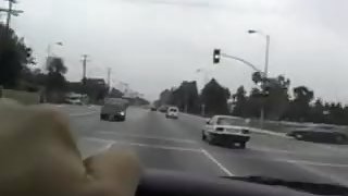 Acute orgy cycatych females