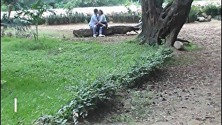 Descubro a mi hermanastra con su amante- Porno en español