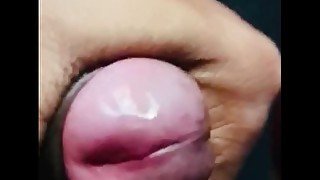 Blow job close up big dick