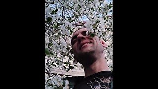 Пелюстки квітів вишні ніжно пестять моє обличчя. Непередаваний аромат