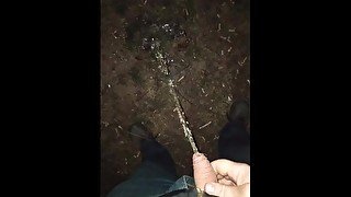 Peeing in the night