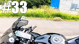 【仕事辞めて日本一周ツーリング Part33 北海道】キタキツネ・小樽【モトブログ旅（リメイク）】
