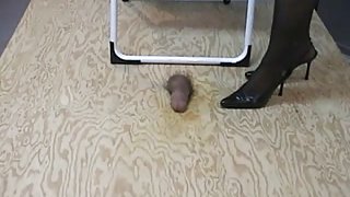 hotlegs-brutal weenie trampling