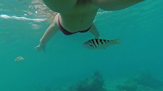 Snorkeling in reef