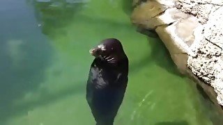 there is no need to be upset