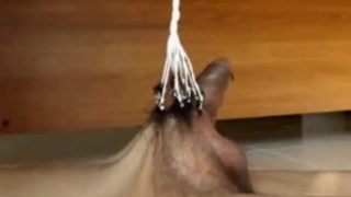 Penis Bondage