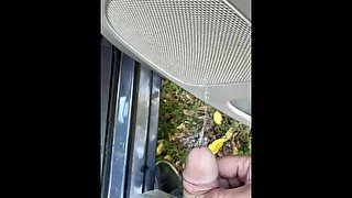 Same van different piss