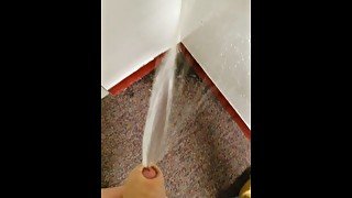 Wall and carpet piss pt2