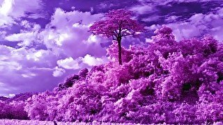 Guided Relaxation Meditation