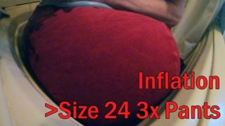 WWM - Size 24 Pants Inflation