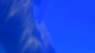 Bharat Natyam The Cleansing