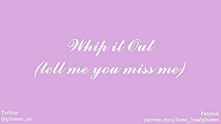 Whip it Out(tell me you miss me)