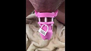 Sissy Shemale tranny slut athletic hot babe in her cute pink little chastity cage