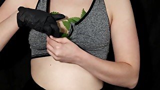 Nettles in Bra whipped with nettles and Holly