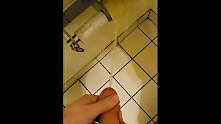 Pissing on public TP rolls is so much fun