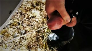 Van Driver Public Pissing & Cum