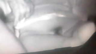 plavojka na lepoj breni u krnjaku