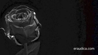 Hypnotic Erotic 3 - Positive, man-loving erotic audio by Eve's Garden