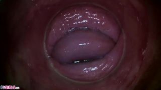 PJGIRLS - Camera deep inside Paula Shy's vagina (Full HD Pussy Cam)