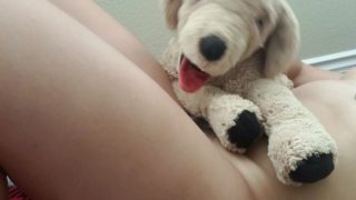 Plushie doggie hump quickie